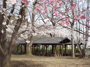 サンランド栃木の写真4