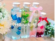 Hanakotobaの写真2