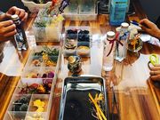 Mg Herbariumの写真4