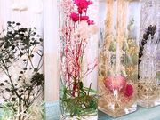 Mg Herbariumの写真2