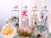 Mg Herbariumの写真3