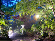 やすらぎの別邸 四季亭の写真3