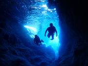 ダイビングショップ Cheersの写真4