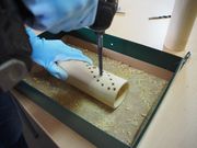 株式会社GreeNexusの写真2