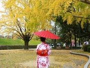 福岡城×舞遊の館 舞鶴公園店の写真4