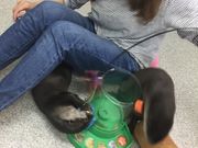 もふれる屋 カラハリの写真2