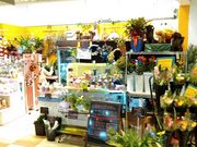 アート工房Currentの写真3