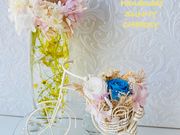 SUNNY CHERRYの写真3