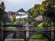 東京の自然歴史体験  センス・オブ・ワンダー東京の写真3