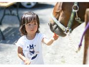 信州 愛和の森ホテル&ログハウスの写真4