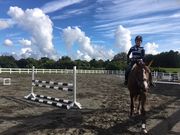 牧之原乗馬クラブの写真6