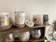 Forest Songs 〜silva sanitatemの写真2