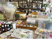 Forest Songs 〜silva sanitatemの写真3