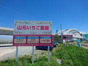 山元いちご農園の写真2