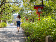 Photo Taiken Japanの写真3