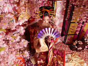 Photo Taiken Japanの写真4