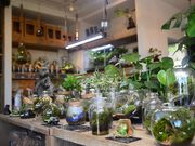 ファミリーガーデン陽春園(陽春園植物場)の写真4