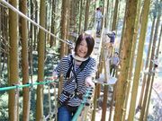 フォレストアドベンチャー・美里の写真2