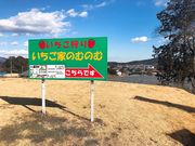いちご家のむのむの写真4