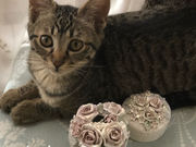 アトリエRoseの写真4