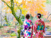 藤・嵐山の写真3