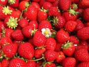 美らイチゴ 南城ハウスの写真2