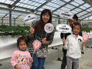 美らイチゴ 糸満ハウスの写真4