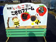こざわファームの写真3