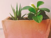プラージェ陶芸教室の写真2