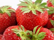 加藤さんのいちご園の写真2