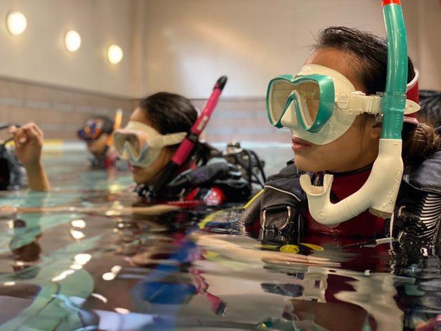 すぐに水中に慣れ、スイスイと泳げます!_ダイビングスクール マレア池袋店