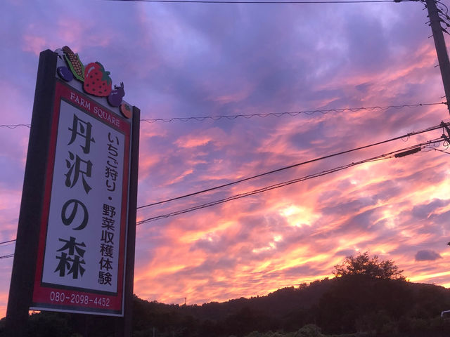 ファームスクエア丹沢の森
