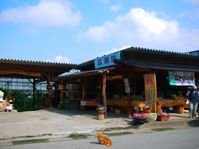 広瀬園