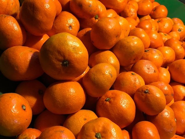 甘くておいしいみかんを是非!_長澤マルユみかん園