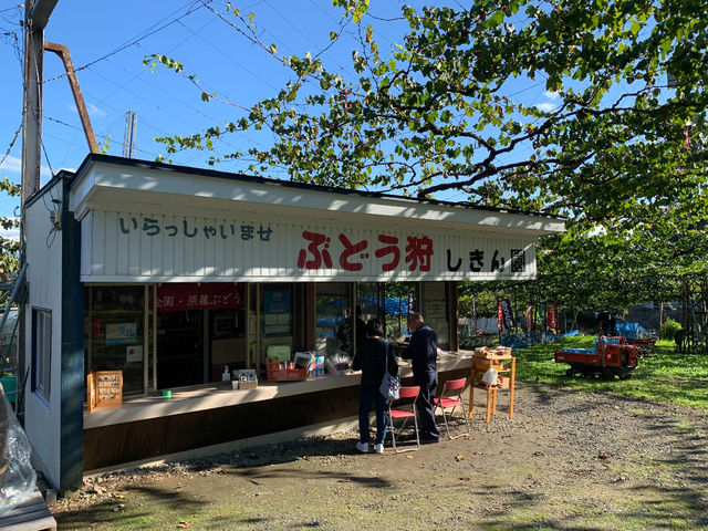 紫金園