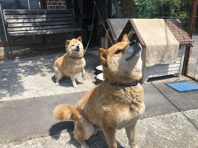 みかんの里・中磯農園