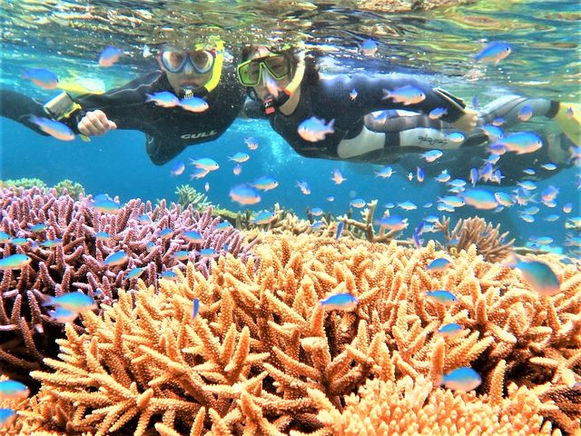 GoPro9で、お客様の水中写真をお撮りしております。_八重干瀬マリンハート宮古島