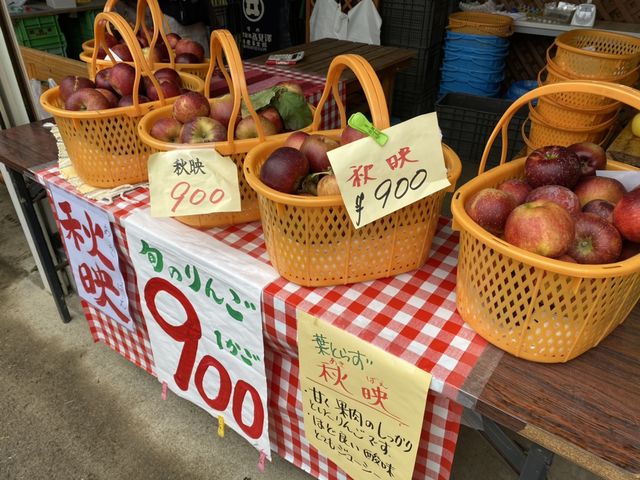 キズものやサイズバラバラのりんごはカゴ売りでお得♪_こだわりのりんご 信州園