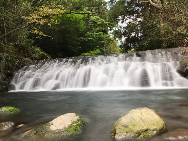天然炭酸水よいやな湧水