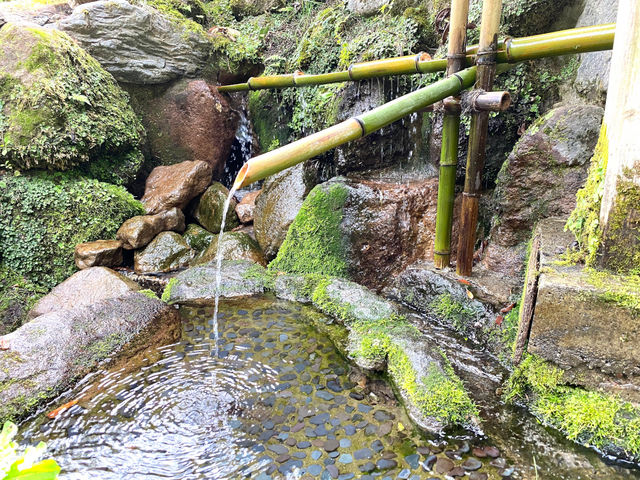 天然炭酸水よいやな湧水