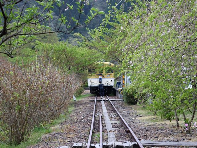 安野花の駅公園
