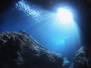 ダイビングスクール マレア東京店の写真3