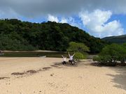 吹通川観光の写真3