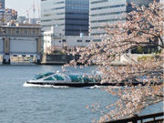 東京都観光汽船の写真2