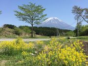 富士山ワイナリーの写真3