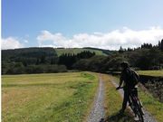 electric sheep runnerの写真3