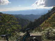 electric sheep runnerの写真4