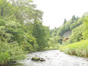 石塚酒造の写真3