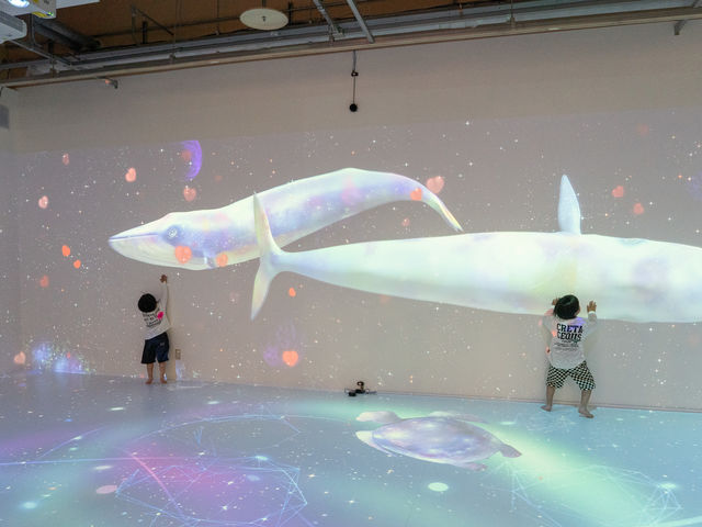 VRコーナー:いろいろが画像が壁と床に流れています。
触るとあら不思議な世界♪
大人の方も楽しめます♡_ハピピランド ラグーナ蒲郡店