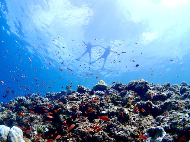青い海は気持ちいい!_石垣リゾートKANS